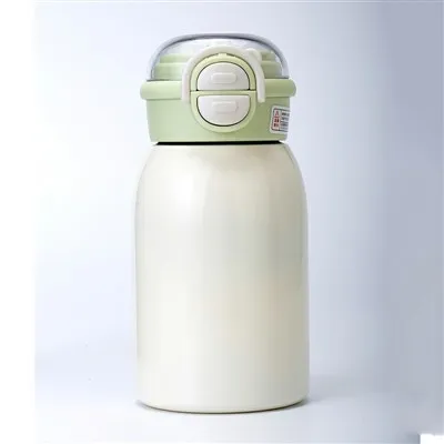 Vacuum Double Wall Insulated Bottle