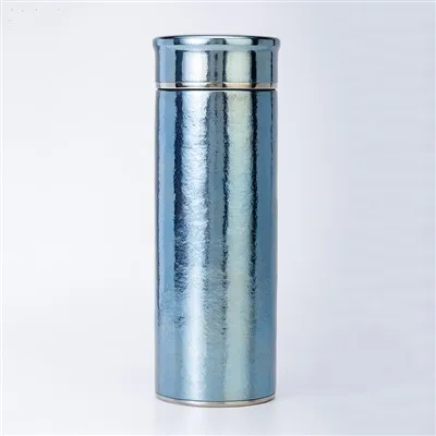 Vacuum Tumbler Mug