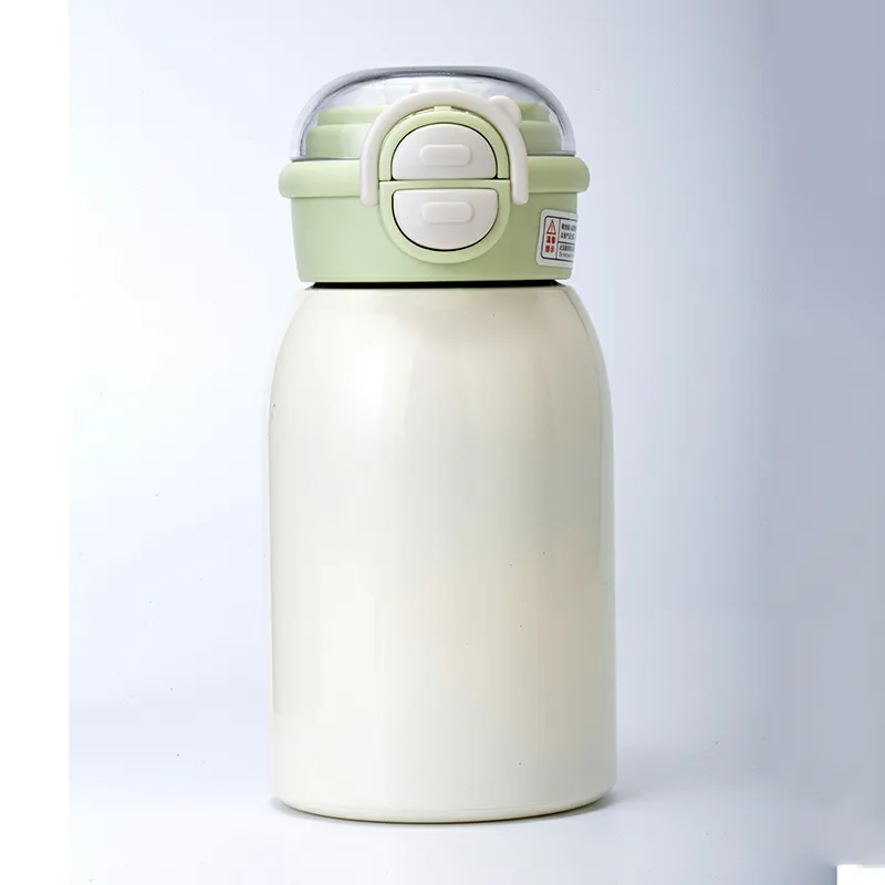 Vacuum Double Wall Insulated Bottle